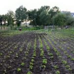 1_y247397191057605878_2