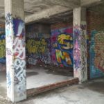 y236408223978637105_0