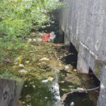 y236408223978637105_3