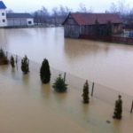 y245352934017808972_3