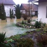 y245352934017808972_7