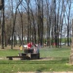 y247355774104749588_5