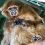 y247365271184661982_5