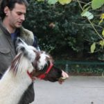 y247378709754285626_10