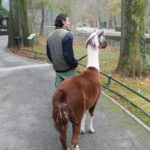 y247378709754285626_5