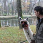 y247378709754285626_8