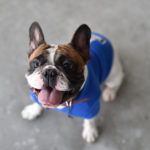 y247414711619280829_2