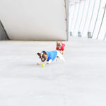 y247414711619280829_6