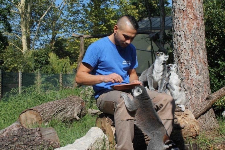 VIJESTI IZ ZOOLOŠKOG VRTA: Timaritelji u srijedu slave svoj dan