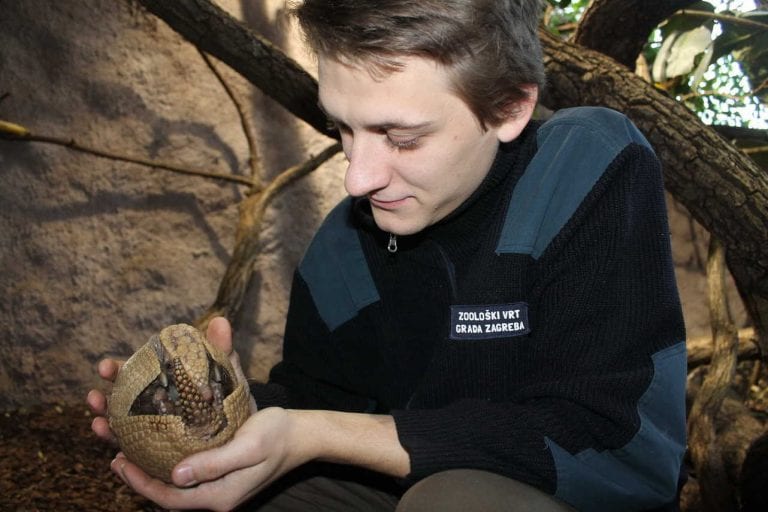 VELIKI TRANSFER: U Maksimir stigao tropasni pasanac