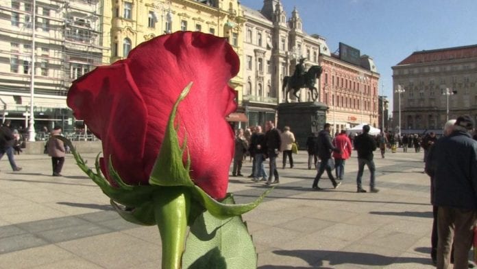 vlcsnap-2018-03-08-15h17m59s162