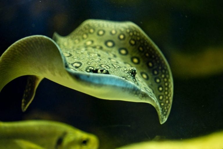 Najmlađi u Zoološkom vrtu uče o zdravlju