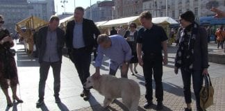 UDOMLJAVANJE JE FORA: Predstavljene nove zakonske obaveze vlasnika kućnih ljubimaca