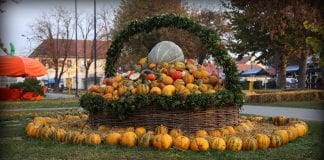 ODRŽANA 14. BUČIJADA U IVANIĆ-GRADU