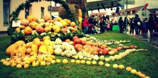 Otvorenje izložbe skulptura i instalacija “Buča kao inspiracija“