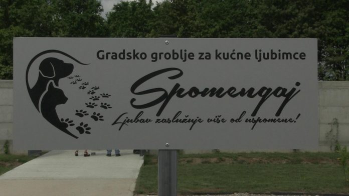 vlcsnap-2019-06-26-12h31m47s630