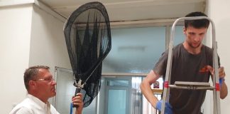 U Traumu KBC-a Sestre Milosrdnice uletjelo jato šišmiša