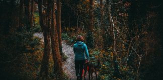 S četveronožnim ljubimcem u subotu na Sljeme za Violu koja želi prohodati