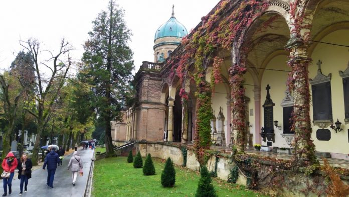 MIROGOJ
