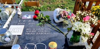 Pogledajte kako Spomengaj, groblje kućnih ljubimaca, izgleda na Svi svete