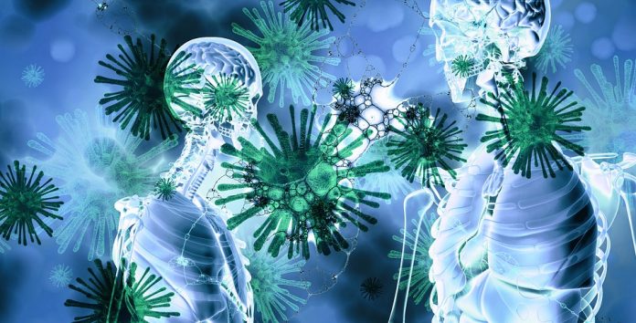 coronavirus-4924022_960_720