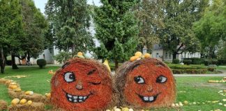 Bučijada-  18 joj je godina tek!