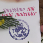 vlcsnap-2023-01-23-15h38m37s900