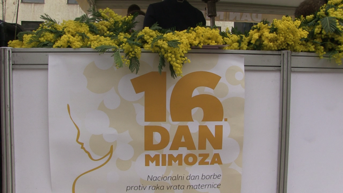vlcsnap-2023-01-23-15h45m26s221