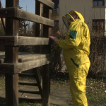 vlcsnap-2023-02-17-15h06m57s876