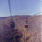 y247414364986230379_2