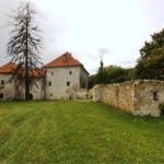 1_y11276100049856268_0