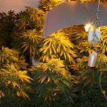 1_y236316723715190772_0