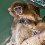 1_y247365271184661982_0