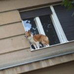 1_y247396382201925708_0