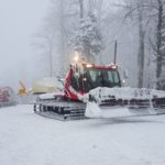 1_y247412751392648068_8