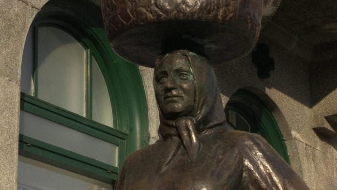 vlcsnap-2017-01-09-15h12m43s189