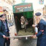 y11259611055777265_2