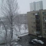 y11318964706430871_11