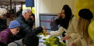 Obilježava se i treći hrvatski dan mimoza