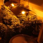 y236316723715190772_2