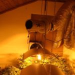 y236316723715190772_5