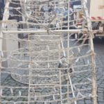 y236408220109790443_5