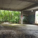 y236408223978637105_9