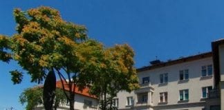 Dr. Miran Martinac novi ravnatelj Svetog Duha