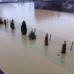 y245352934017808972_1