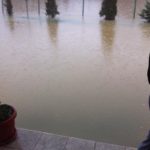 y245352934017808972_4