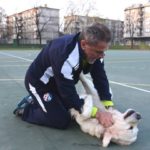 y247355160516025533_2