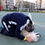 y247355160516025533_4