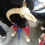 y247355603748163447_7