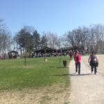 y247355774104749588_13